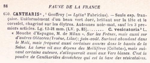 Indéterminé